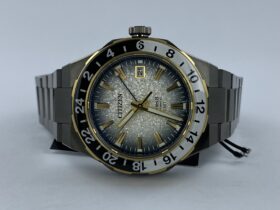 Citizen NB6035-55H Series 8 GMT Clockwise Hellevoetsluis